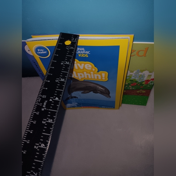 Scholastic Pre-Reader and Reading Level 1 Book Lot of 4 NWOT - Picture 5 of 7